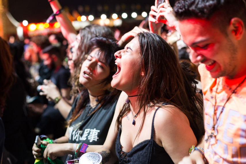 Público no Lollapalooza 2017