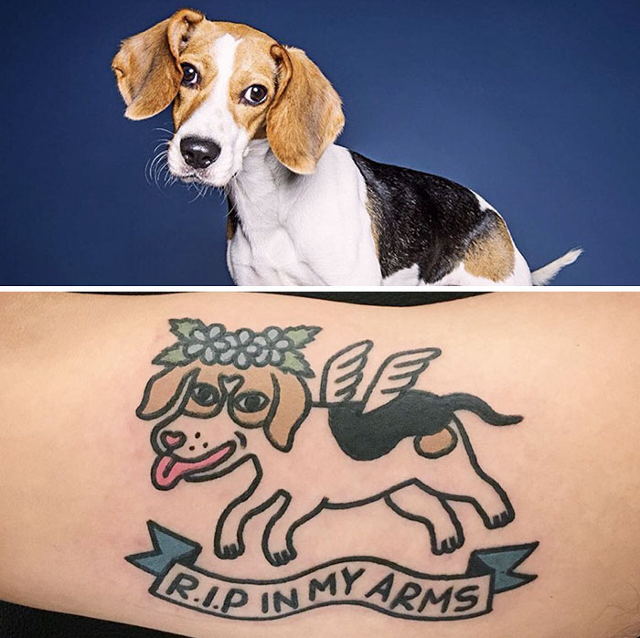 O artista sul-coreano Jiran é conhecido por transformar os animais de estimação das pessoas em tatuagens divertidas