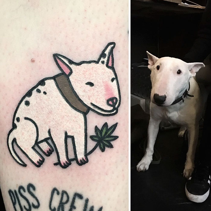 O artista sul-coreano Jiran é conhecido por transformar os animais de estimação das pessoas em tatuagens divertidas