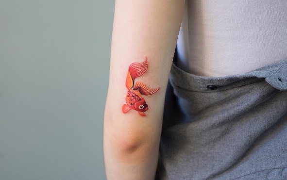  Siga @zihee_tattoo no Instagram