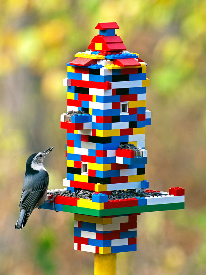 Tire aqueles Legos velhos da caixa de brinquedos e transforme a rotina com essas ideias incríveis!
