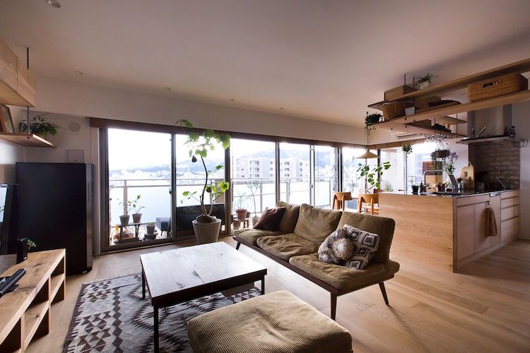 Com economia de espaço, apartamento é playground para gato