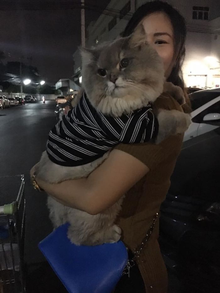Todos querem tirar uma selfie com esse bonitão aí. Como resistir?