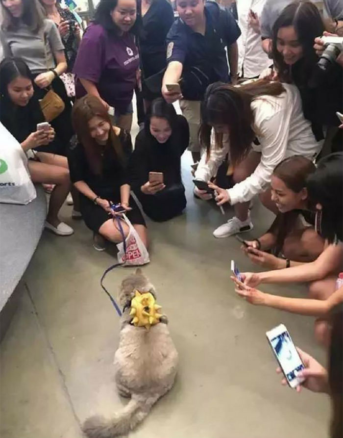 Todos querem tirar uma selfie com esse bonitão aí. Como resistir?