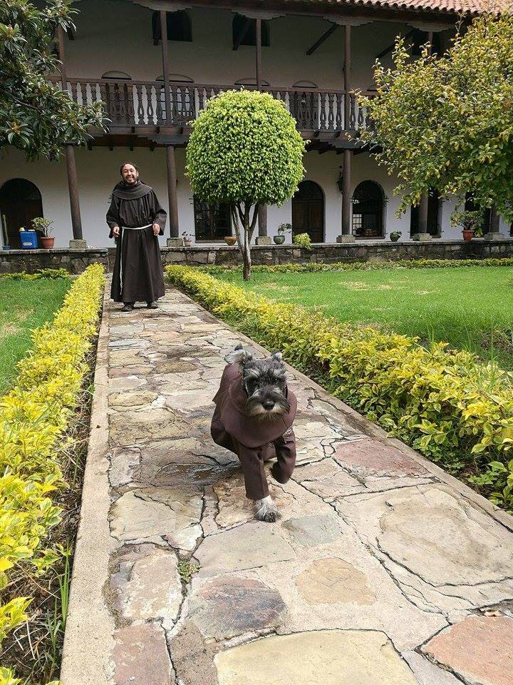 Cachorro vira monge na Bolívia