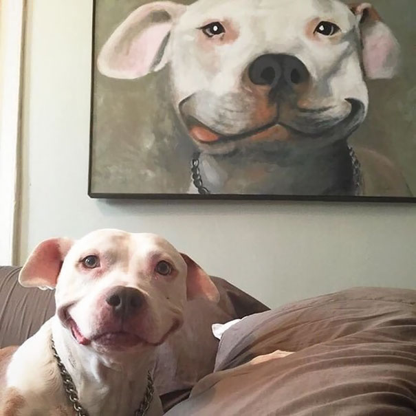 Imagens provam que vida imita a arte
