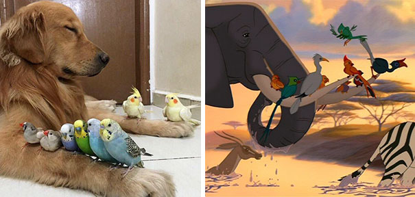 Imagens provam que vida imita a arte