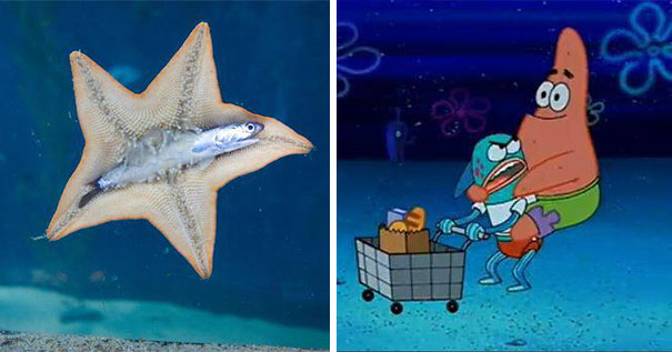 Imagens provam que vida imita a arte