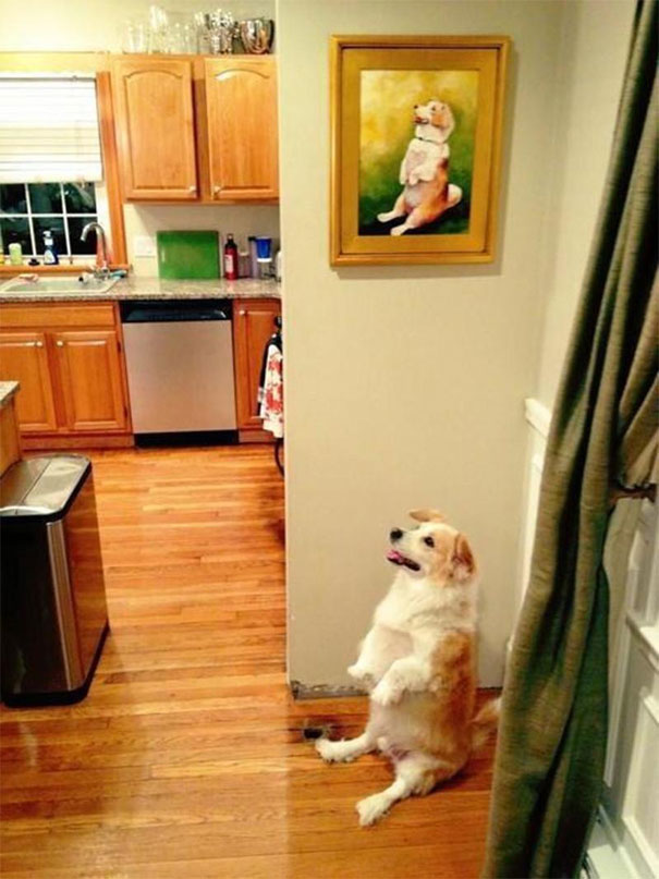 Imagens provam que vida imita a arte