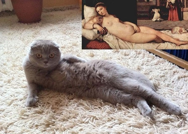 Imagens provam que vida imita a arte