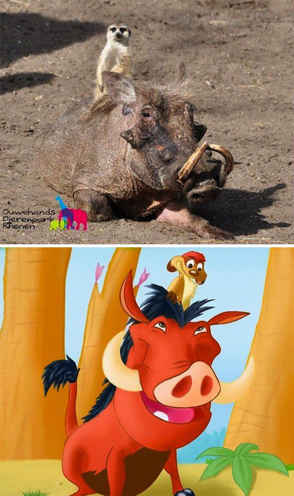 Imagens provam que vida imita a arte