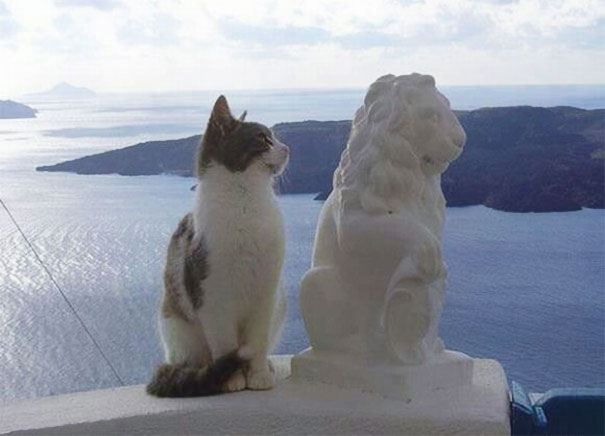 Imagens provam que vida imita a arte