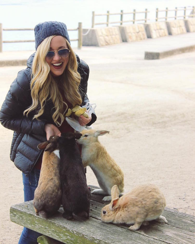 Em Okunoshima, é possível dar um rolê entre centenas de coelhos fofos e amigáveis que só querem um pouco de carinho - e um quitute, talvez