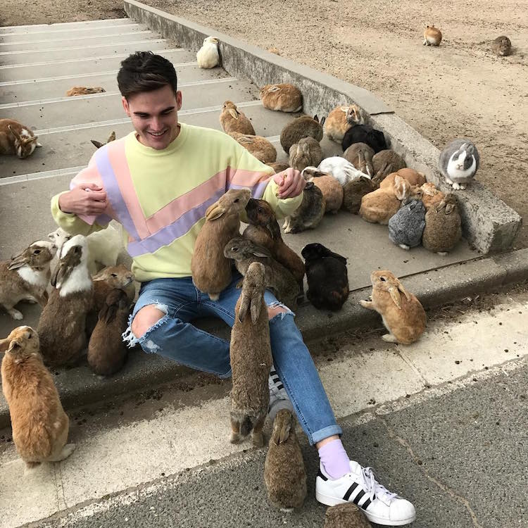 Em Okunoshima, é possível dar um rolê entre centenas de coelhos fofos e amigáveis que só querem um pouco de carinho - e um quitute, talvez