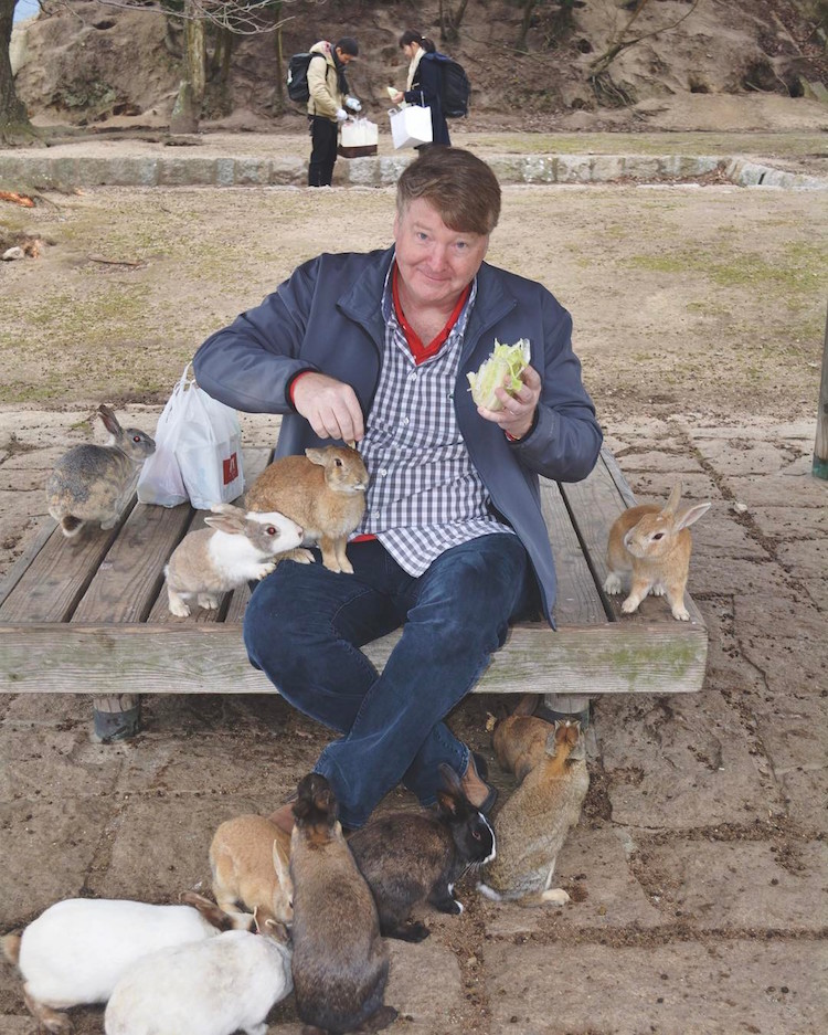 Em Okunoshima, é possível dar um rolê entre centenas de coelhos fofos e amigáveis que só querem um pouco de carinho - e um quitute, talvez