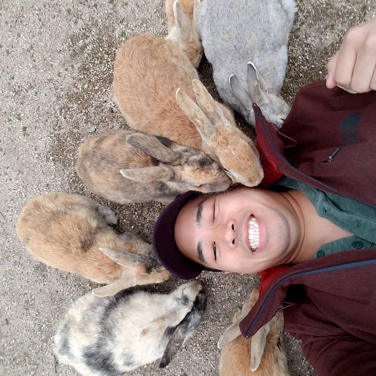 Em Okunoshima, é possível dar um rolê entre centenas de coelhos fofos e amigáveis que só querem um pouco de carinho - e um quitute, talvez
