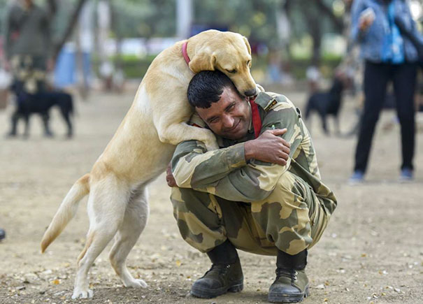 Cães heróis: a relação de soldados e seus animais