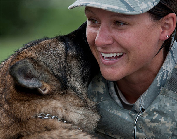 Cães heróis: a relação de soldados e seus animais