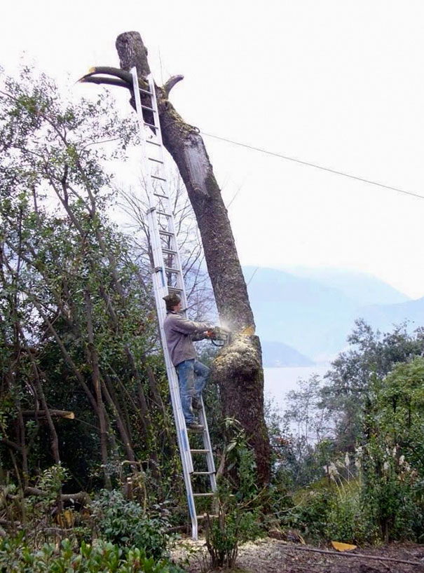 Essas pessoas apenas dão gostosas gargalhadas na cara do perigo. Como é possível?