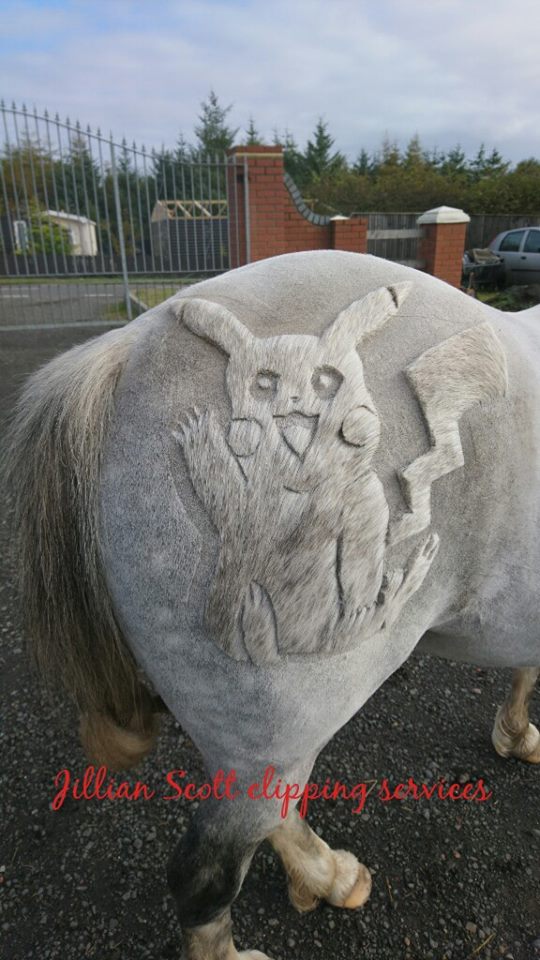 Tosadora de cavalos ganha fama inspirando-se em cultura pop e outros animais