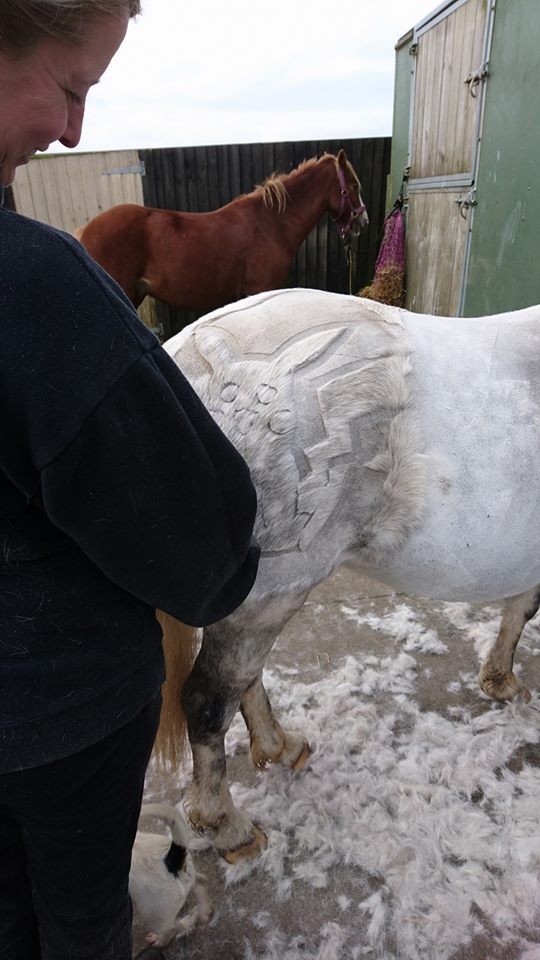 Tosadora de cavalos ganha fama inspirando-se em cultura pop e outros animais