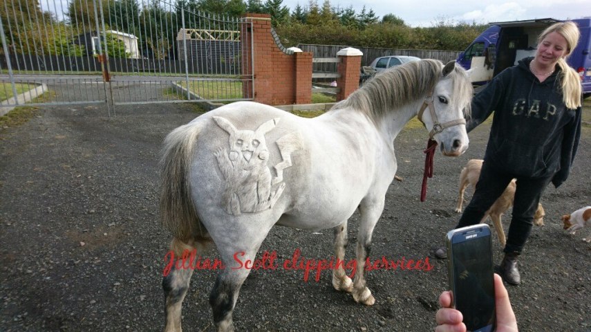 Tosadora de cavalos ganha fama inspirando-se em cultura pop e outros animais
