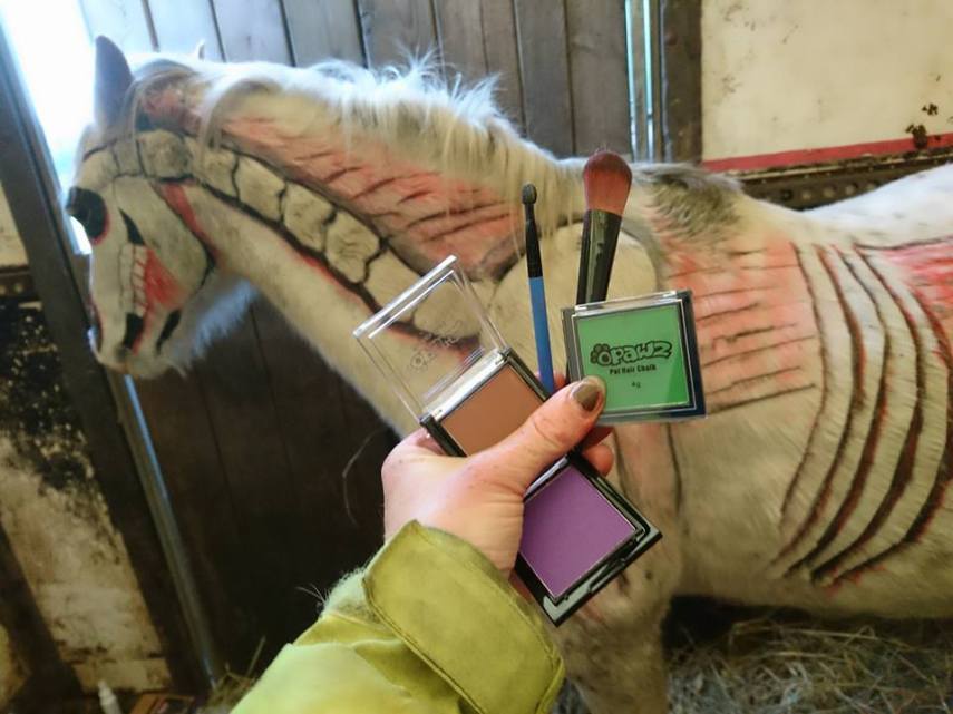 Tosadora de cavalos ganha fama inspirando-se em cultura pop e outros animais