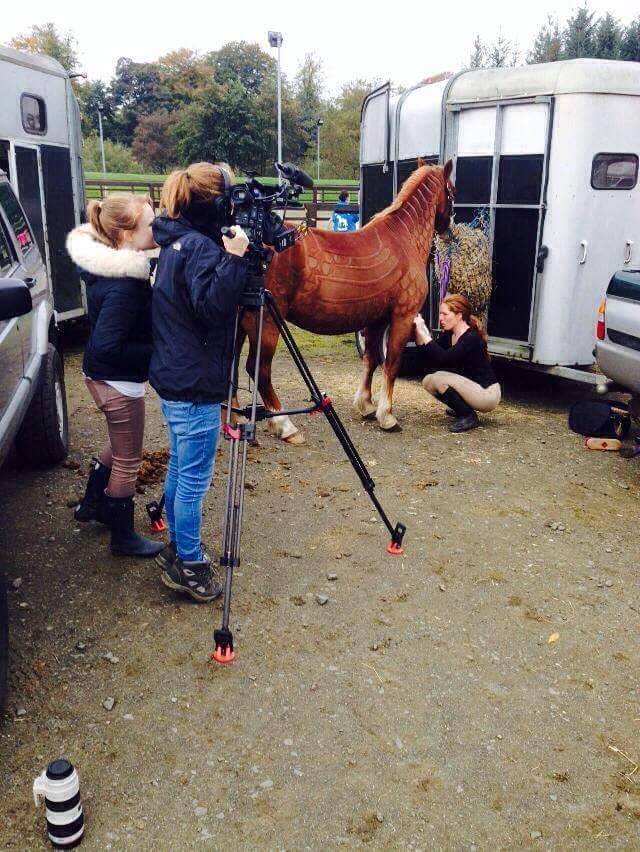 Tosadora de cavalos ganha fama inspirando-se em cultura pop e outros animais