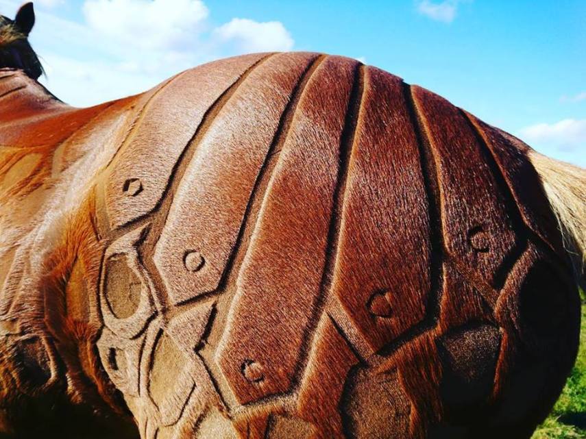 Tosadora de cavalos ganha fama inspirando-se em cultura pop e outros animais