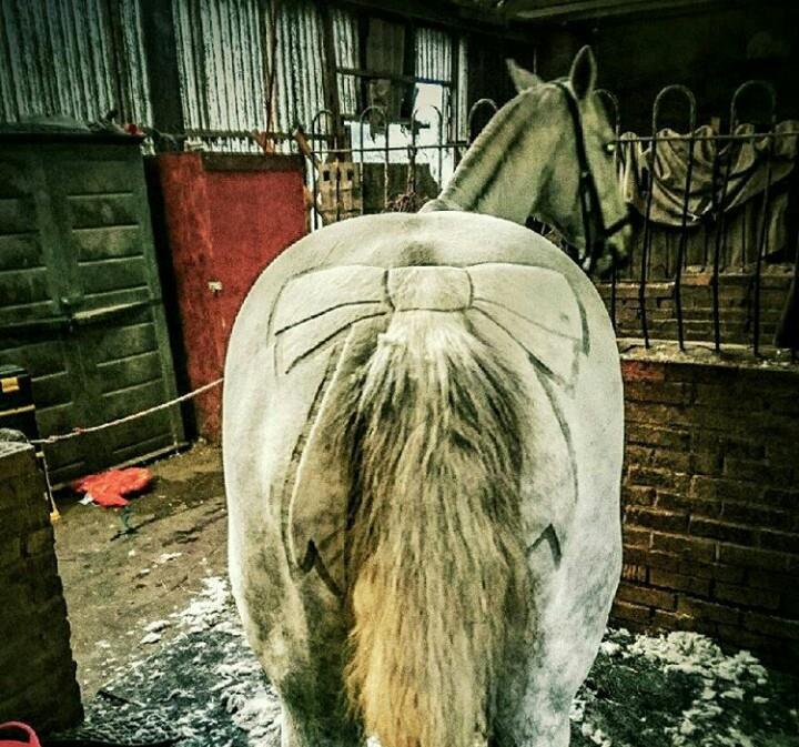 Tosadora de cavalos ganha fama inspirando-se em cultura pop e outros animais