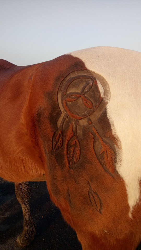 Tosadora de cavalos ganha fama inspirando-se em cultura pop e outros animais