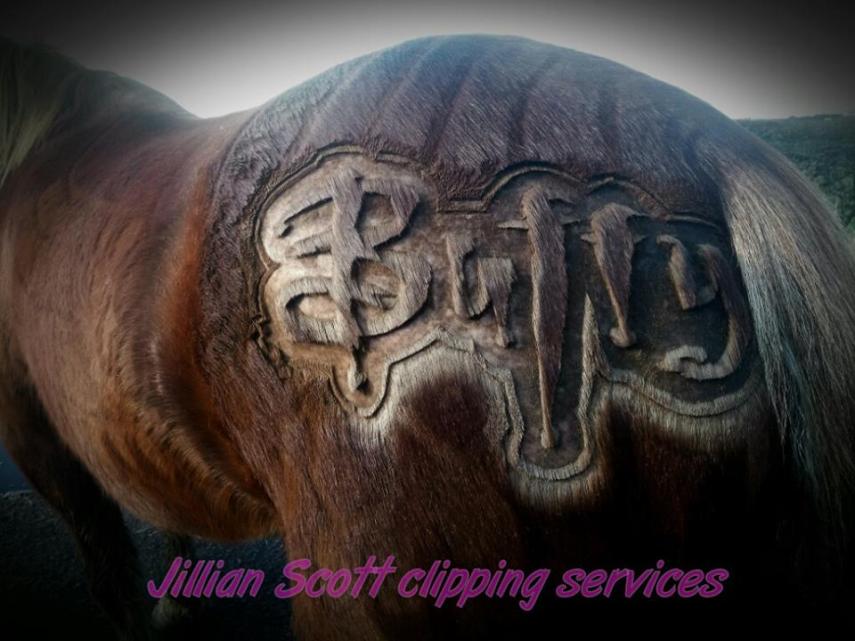 Tosadora de cavalos ganha fama inspirando-se em cultura pop e outros animais