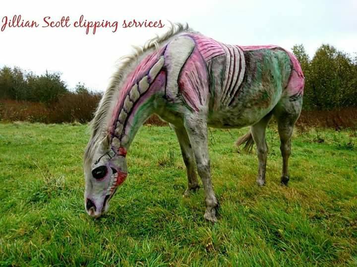 Tosadora de cavalos ganha fama inspirando-se em cultura pop e outros animais