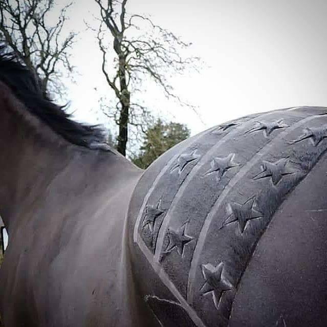 Tosadora de cavalos ganha fama inspirando-se em cultura pop e outros animais