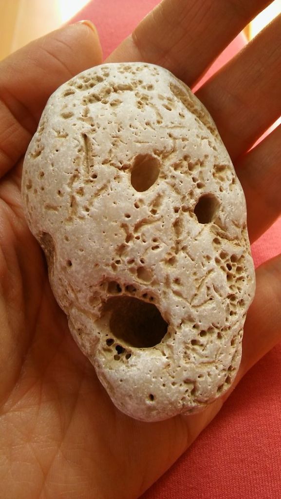 Lista reúne imagens que parecem rostos, monstros ou animais