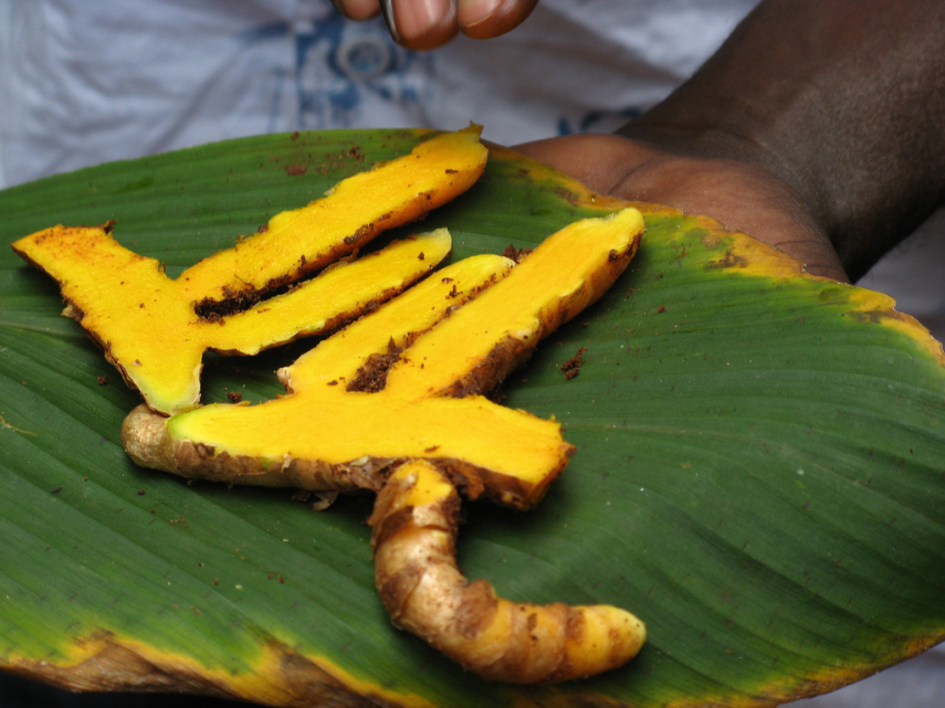 De aspecto parecido com um gengibre - também conhecido como gengibre amarelo - o açafrão também é uma raíz. Ele é rico em cúrcumina, um fitoquímico conhecido por ser um potentíssimo anti-inflamatório. Tem ainda ação antioxidante. 