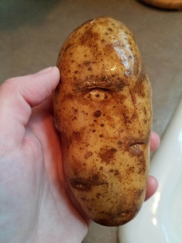 Lista reúne imagens que parecem rostos, monstros ou animais
