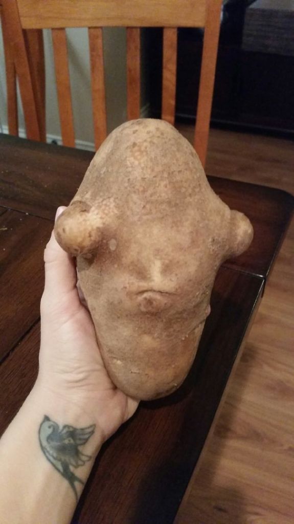 Lista reúne imagens que parecem rostos, monstros ou animais