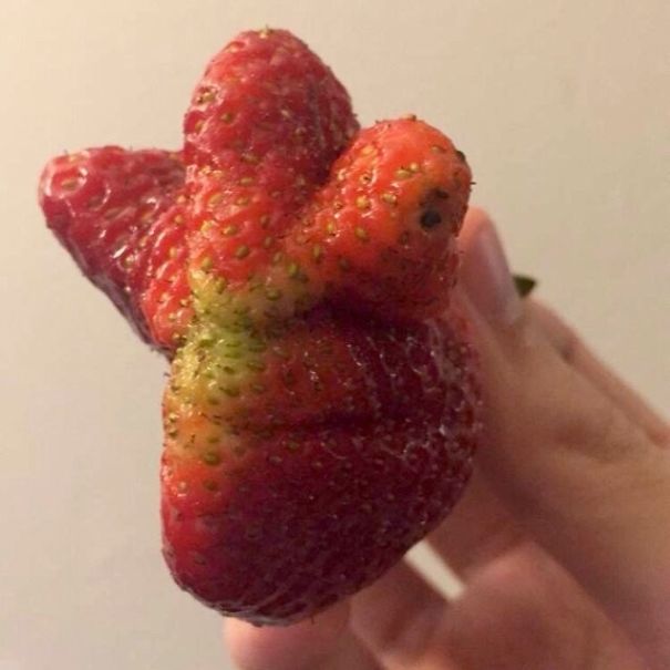 Lista reúne imagens que parecem rostos, monstros ou animais