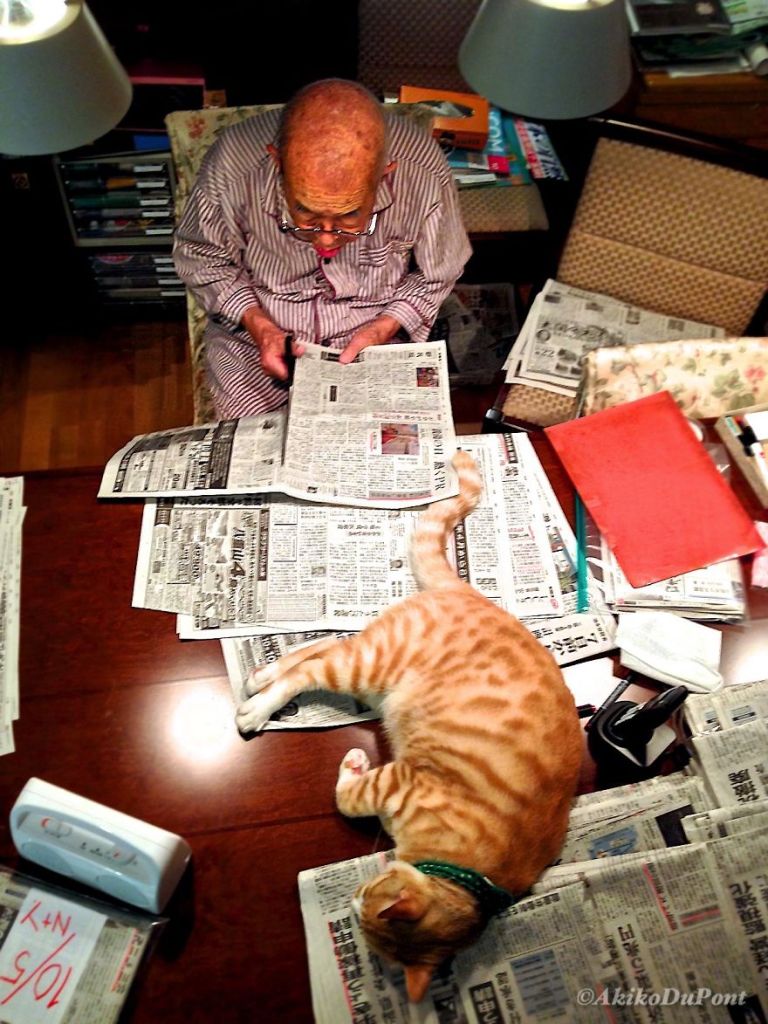 Kinako, o gato, e Jiji, o vovô