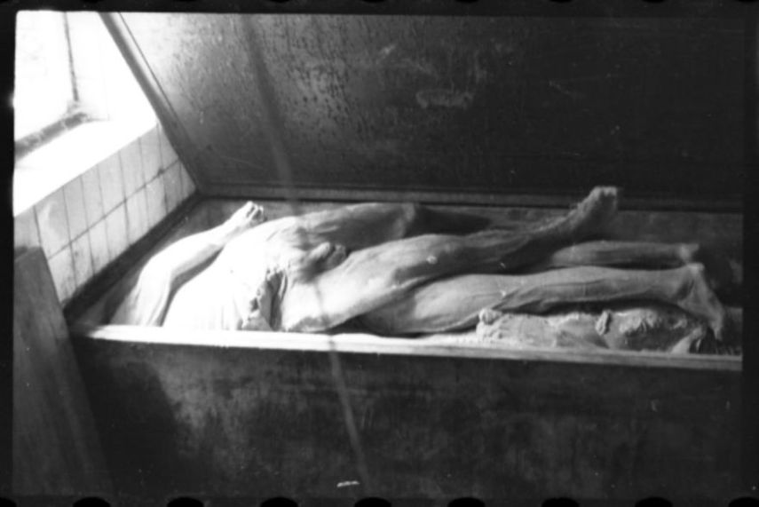 Fotógrafo e judeu, Henryk Ross enterrou suas fotos perto de sua casa em uma caixa, preservando provas dos crimes contra seu povo para as gerações futuras