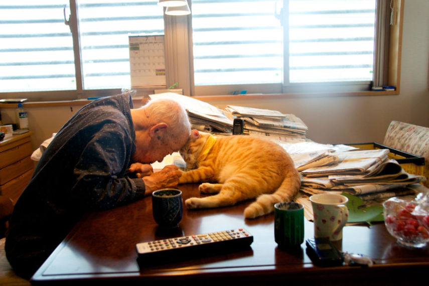Kinako, o gato, e Jiji, o vovô