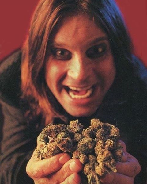 Ozzy quase partiu dessa para uma melhor em 2003, graças a um acidente com um quadriciclo. Ele se quebrou inteiro, fraturando vértebras, pescoço e e costelas, além de romper algumas veias.