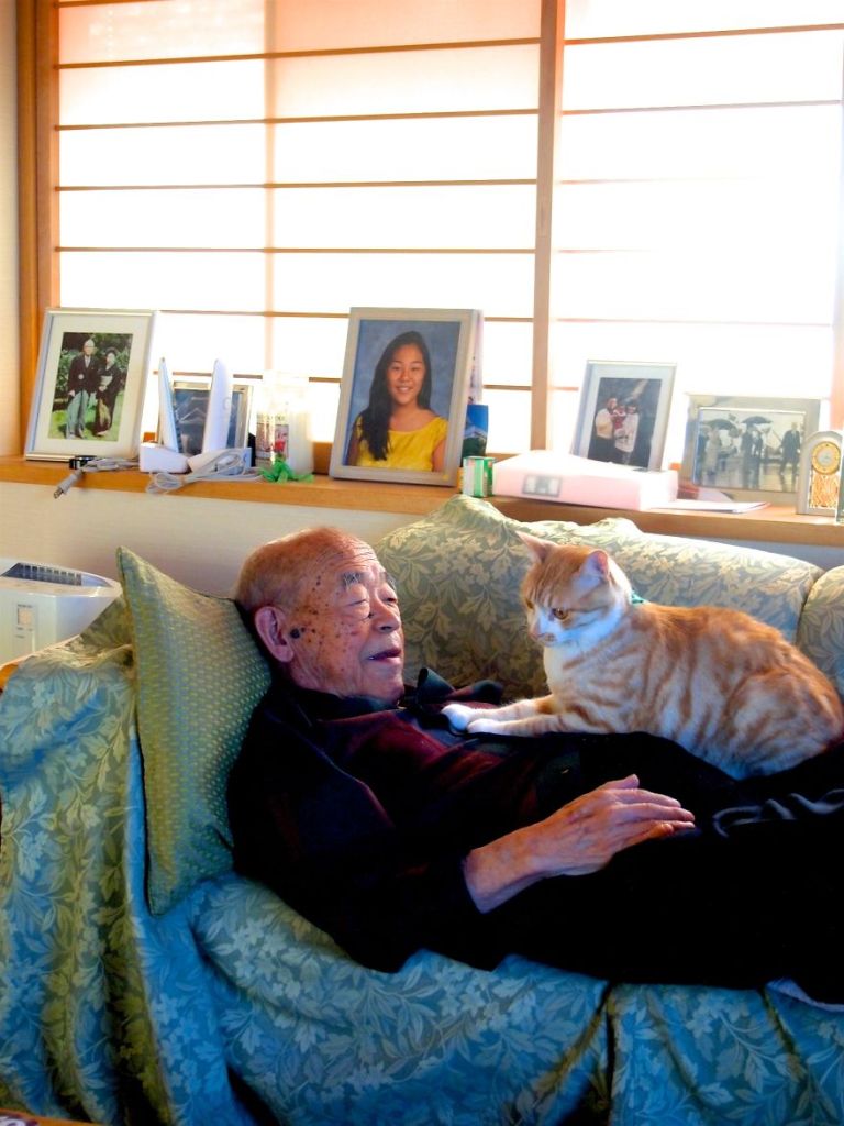Kinako, o gato, e Jiji, o vovô