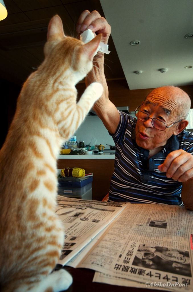 Kinako, o gato, e Jiji, o vovô