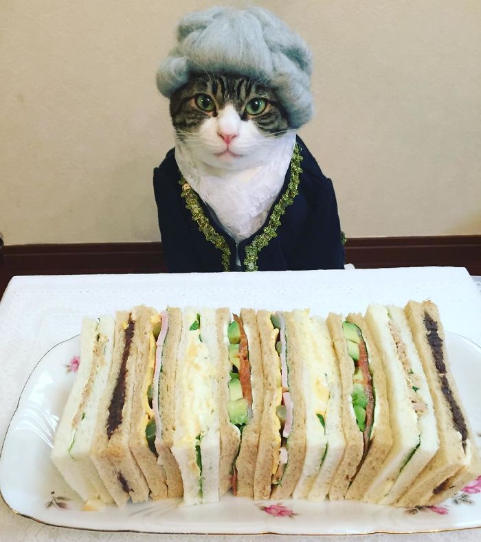 Gato cosplayer posa ao lado de diferentes comidas no Japão