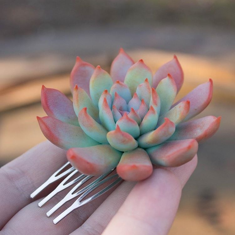 Natureza na cabeça <3