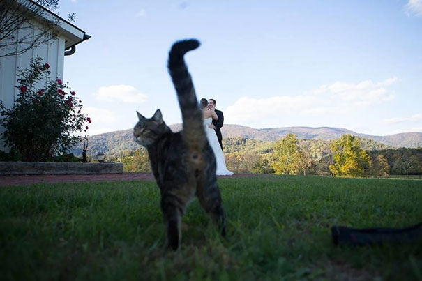 Eles não perdem a chance de arruinar a foto alheia