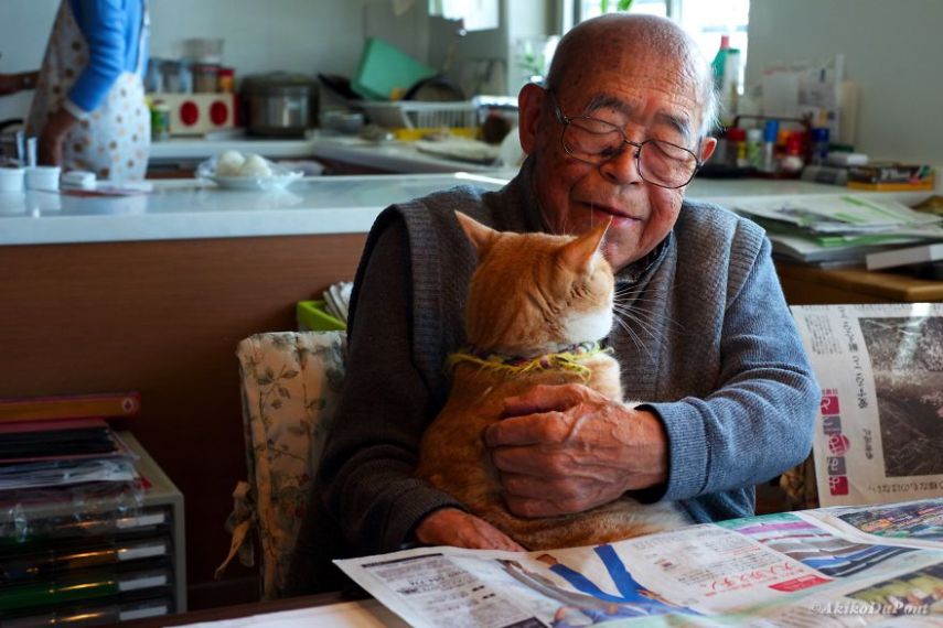 Kinako, o gato, e Jiji, o vovô
