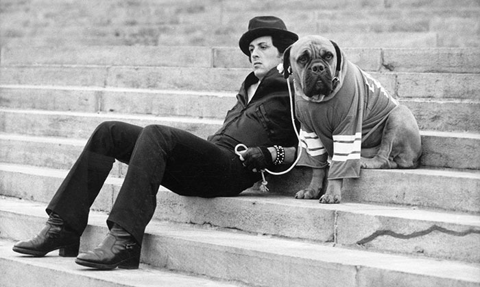 Sylvester Stallone faz homenagem a cachorro que esteve ao seu lado antes da fama